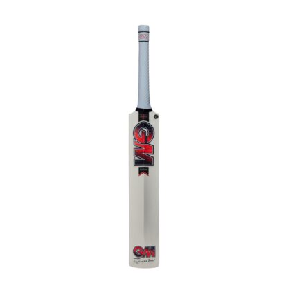 GM Radon Cricket Bat — Prime English Willow - Image 3